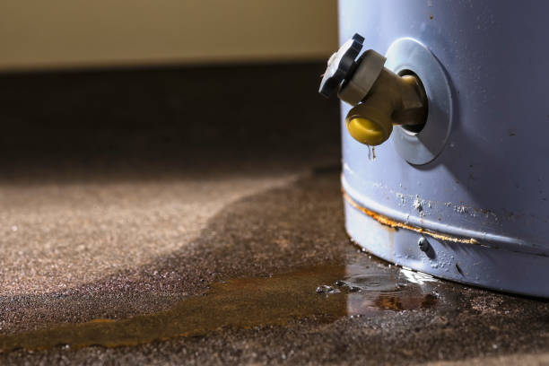 Reliable Lockwood, MT Water damage restoration Solutions