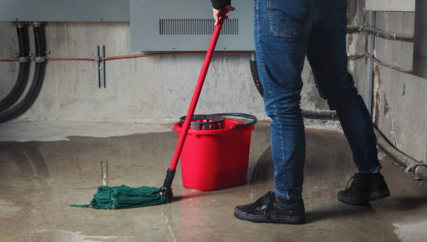 Best Flood restoration services  in Lockwood, MT