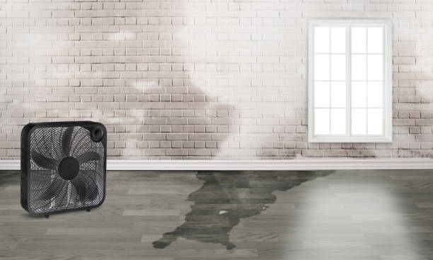 Best Residential water damage restoration  in Lockwood, MT