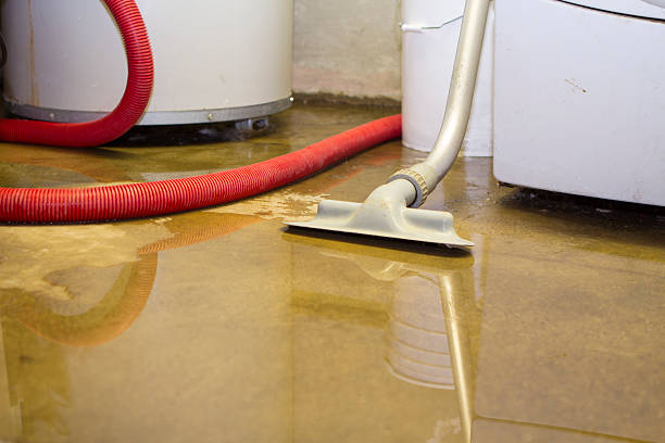 Best Water damage restoration near me  in Lockwood, MT