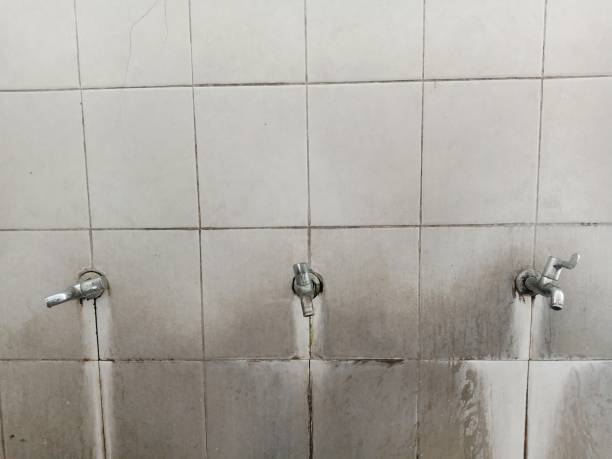 Best Water damage restoration insurance claims  in Lockwood, MT