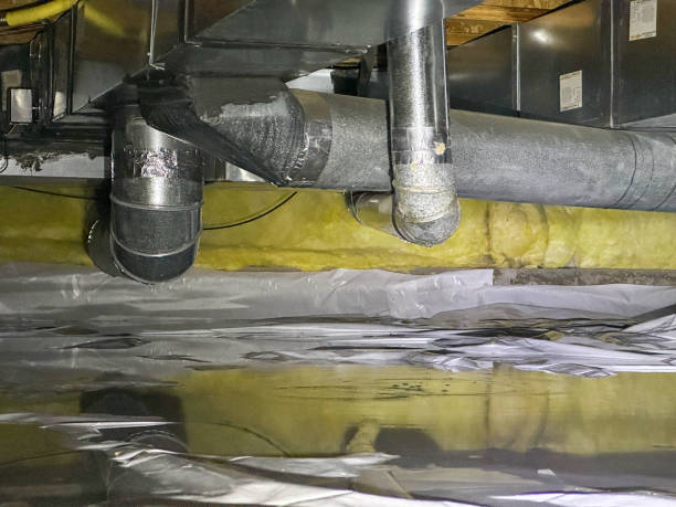 Best Water damage restoration experts  in Lockwood, MT