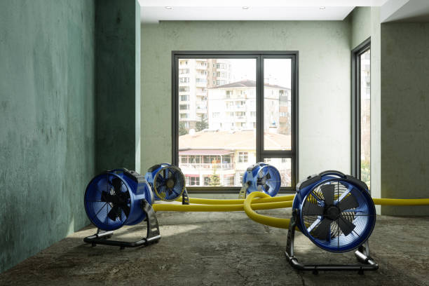 Best Ceiling water damage repair  in Lockwood, MT